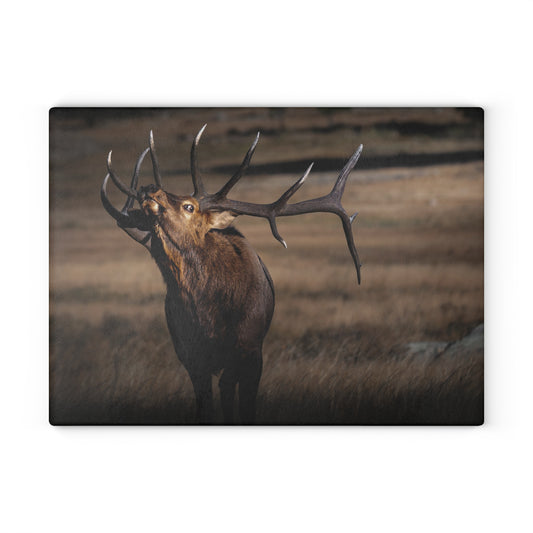 "WILD SIDE" Glass Cutting Board