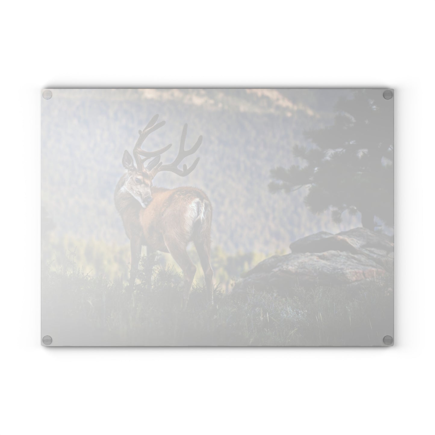 BACKDROP ITCH Glass Cutting Board