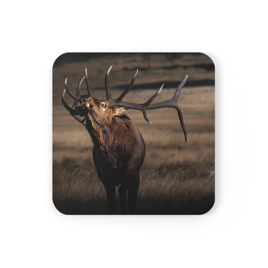 "WILD SIDE" Bull Elk Photo Coaster