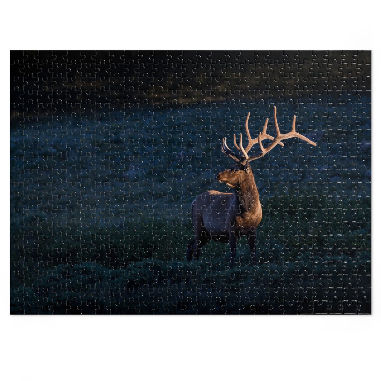 "LIGHT BEAM" BULL ELK - PUZZLE