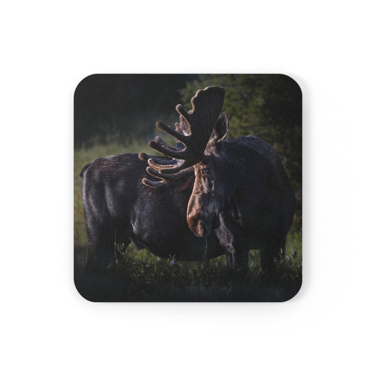 "VELVET HIGHLIGHTS" Bull Moose Photo Coaster