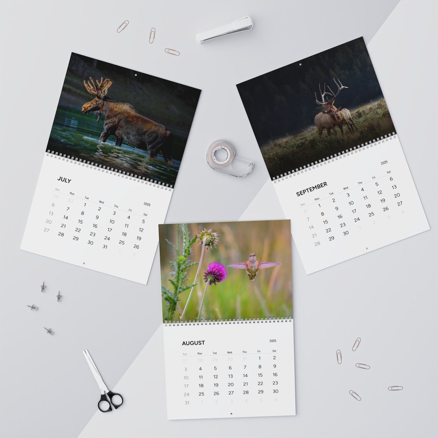 IN SEARCH OF WILD NATURE & WILDLIFE 2025 Wall Calendars