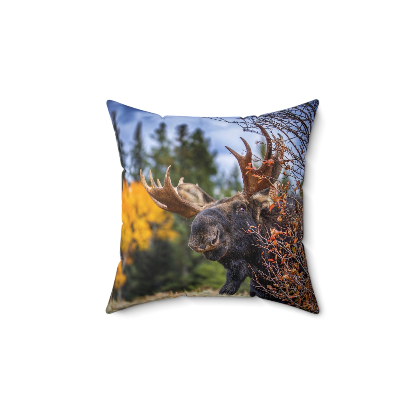 "PEEK A MOOSE" Bull Moose Photo Pillow