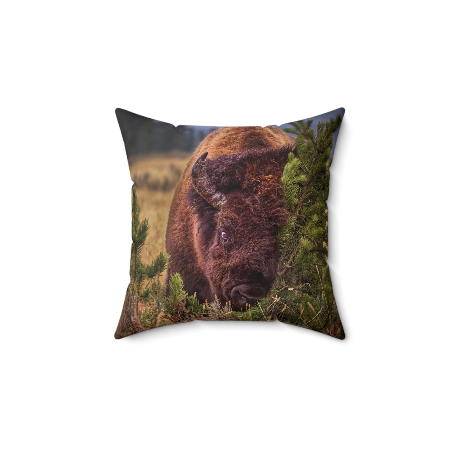 "RUBBIN" Bison Photo Pillow