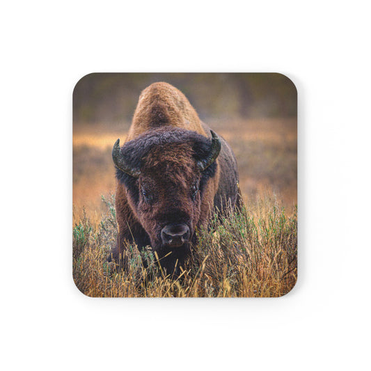 "MISTY MORNING" Bison Photo Coaster