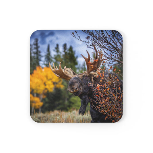 "PEEK A MOOSE" Bull Moose Photo Coaster