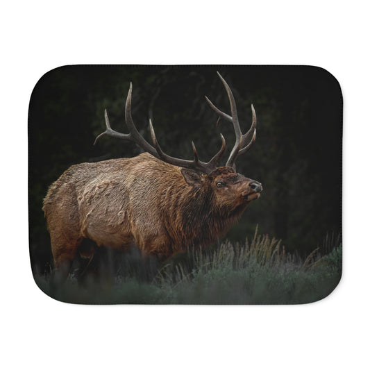 "LOW LOOK" BULL ELK - SHERPA BLANKET