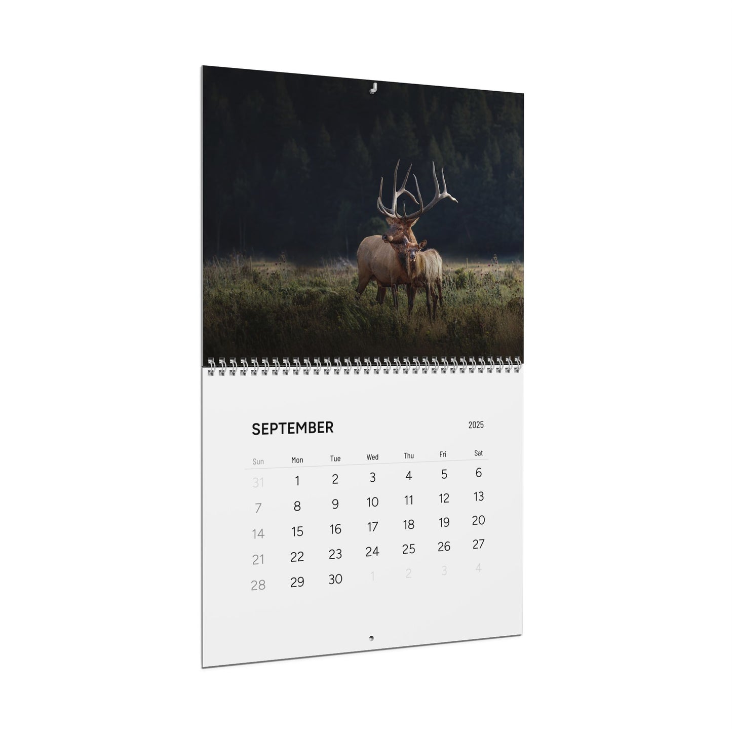 IN SEARCH OF WILD NATURE & WILDLIFE 2025 Wall Calendars