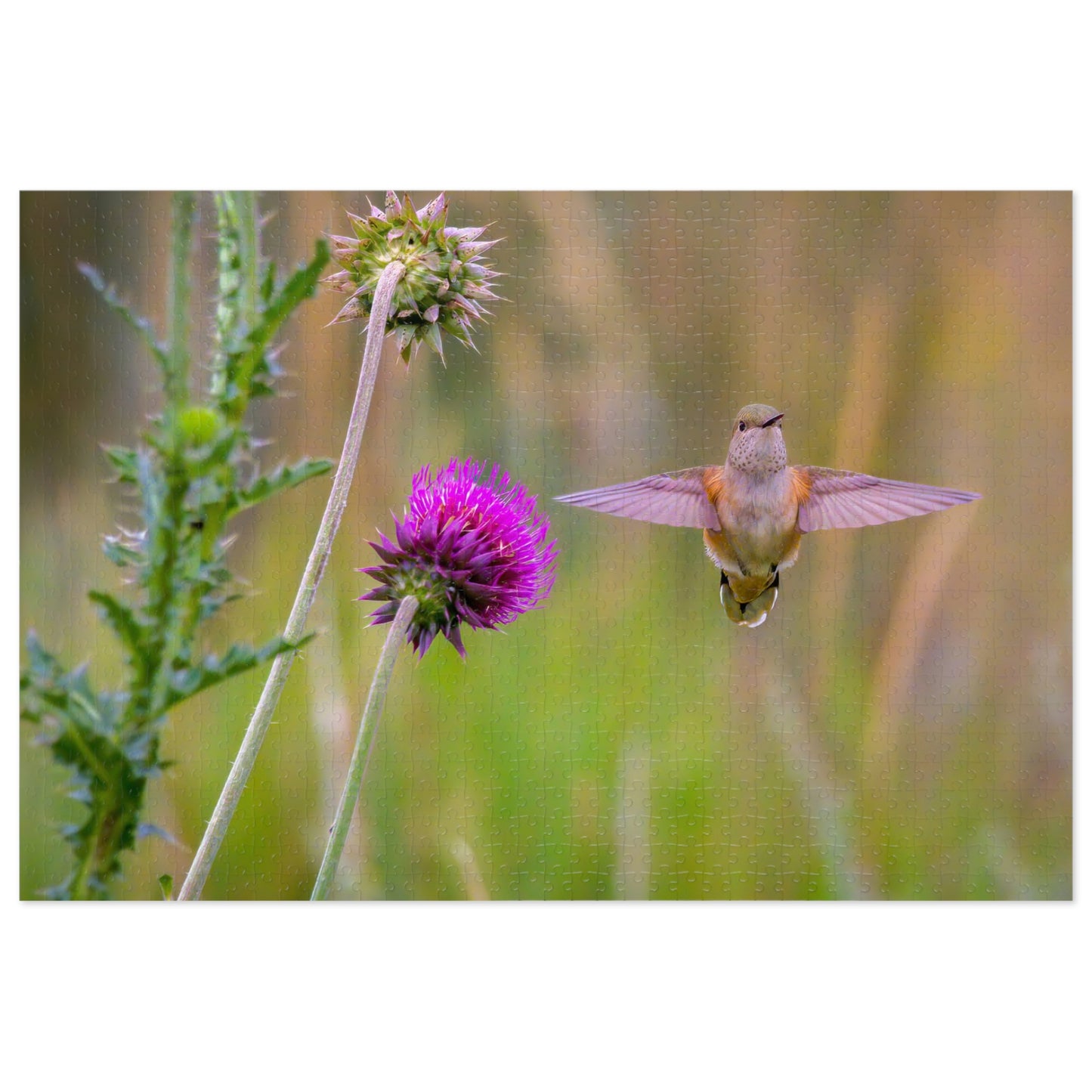 "THISTLE WINGS" HUMMINGBIRD - PUZZLE