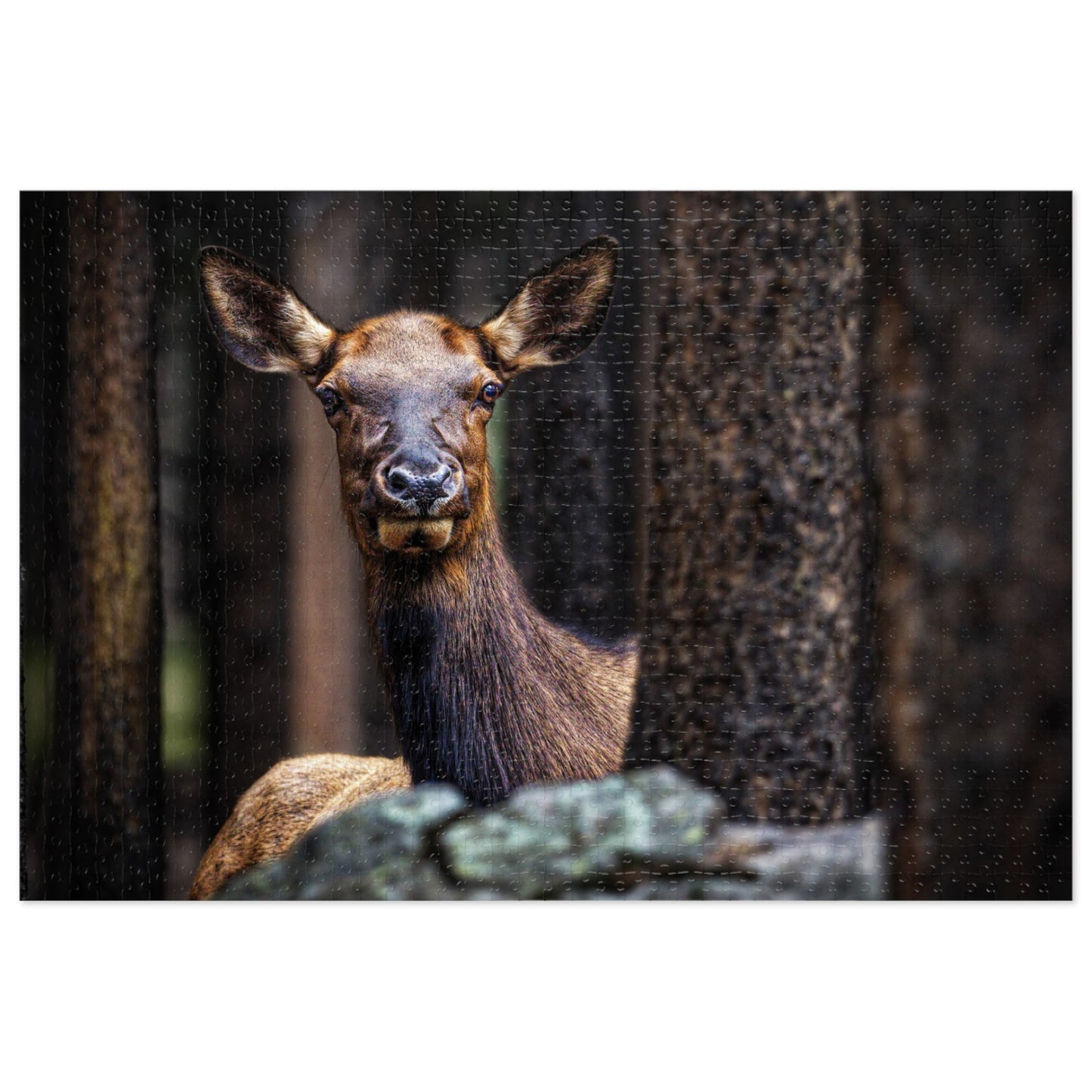 "LADY OF THE WOODS" COW ELK - PUZZLE