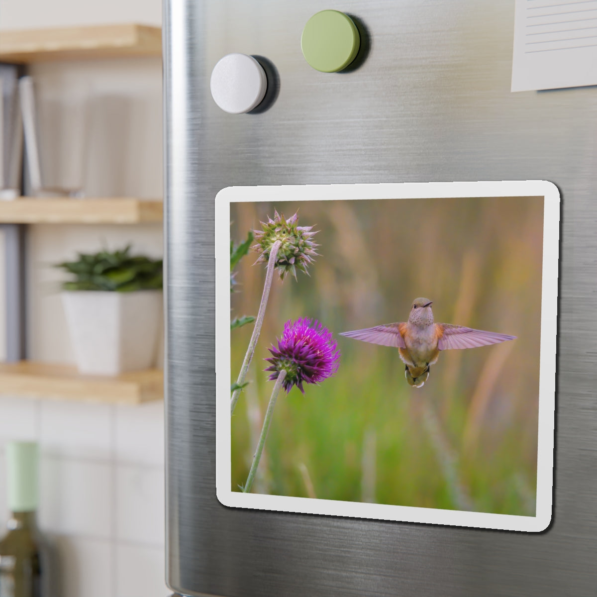 "THISTLE WINGS" Photo Magnet