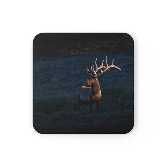 "LIGHT BEAM" Bull Elk Photo Coaster