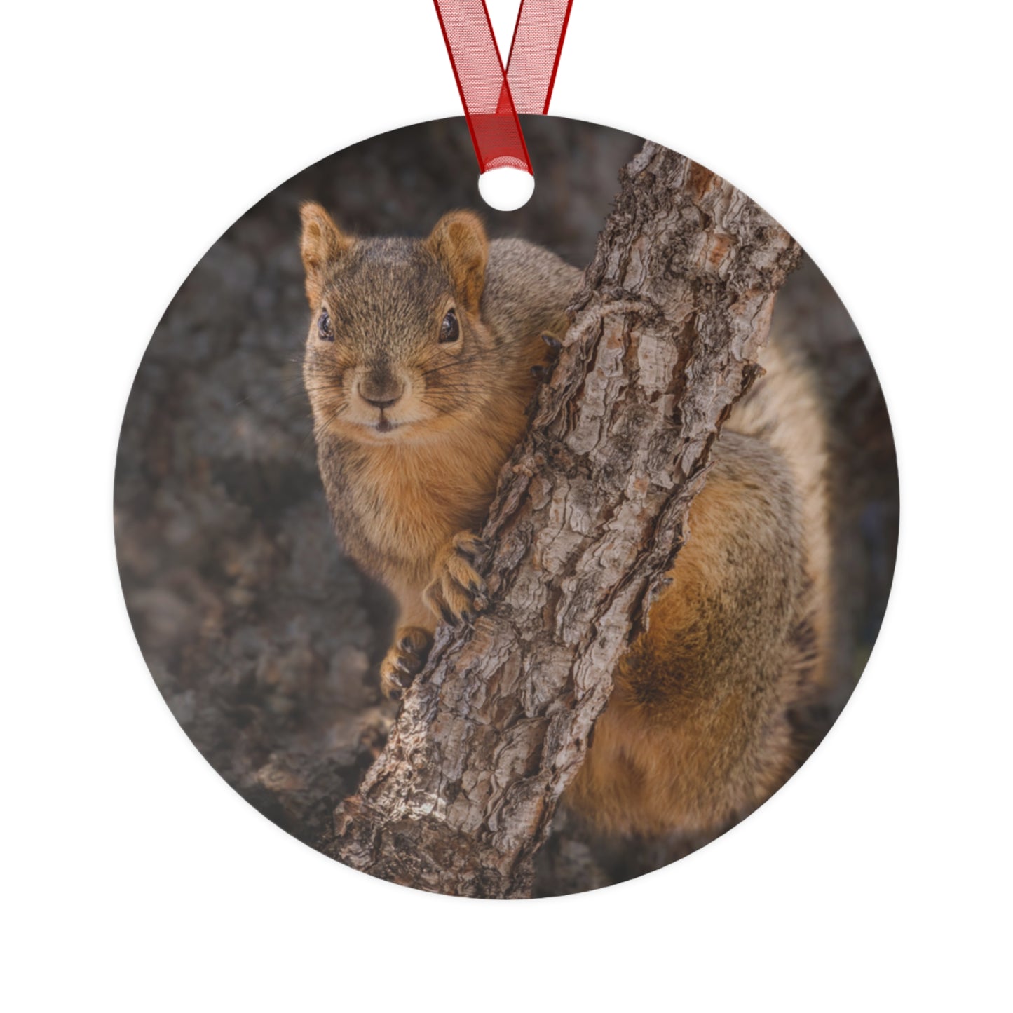 "CUTE ATTITUDE" Squirrel - Metal Christmas Tree Ornament