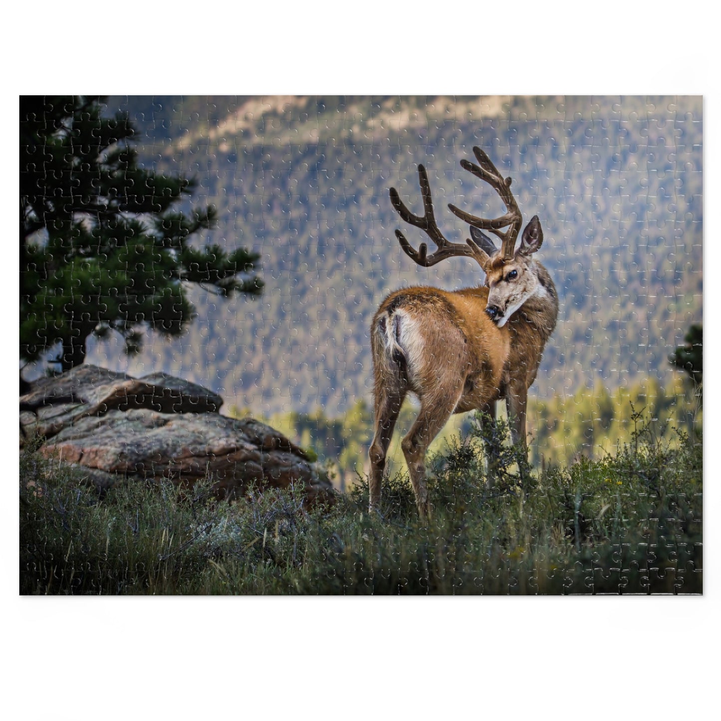 "BACKDROP ITCH" MULE DEER - PUZZLE