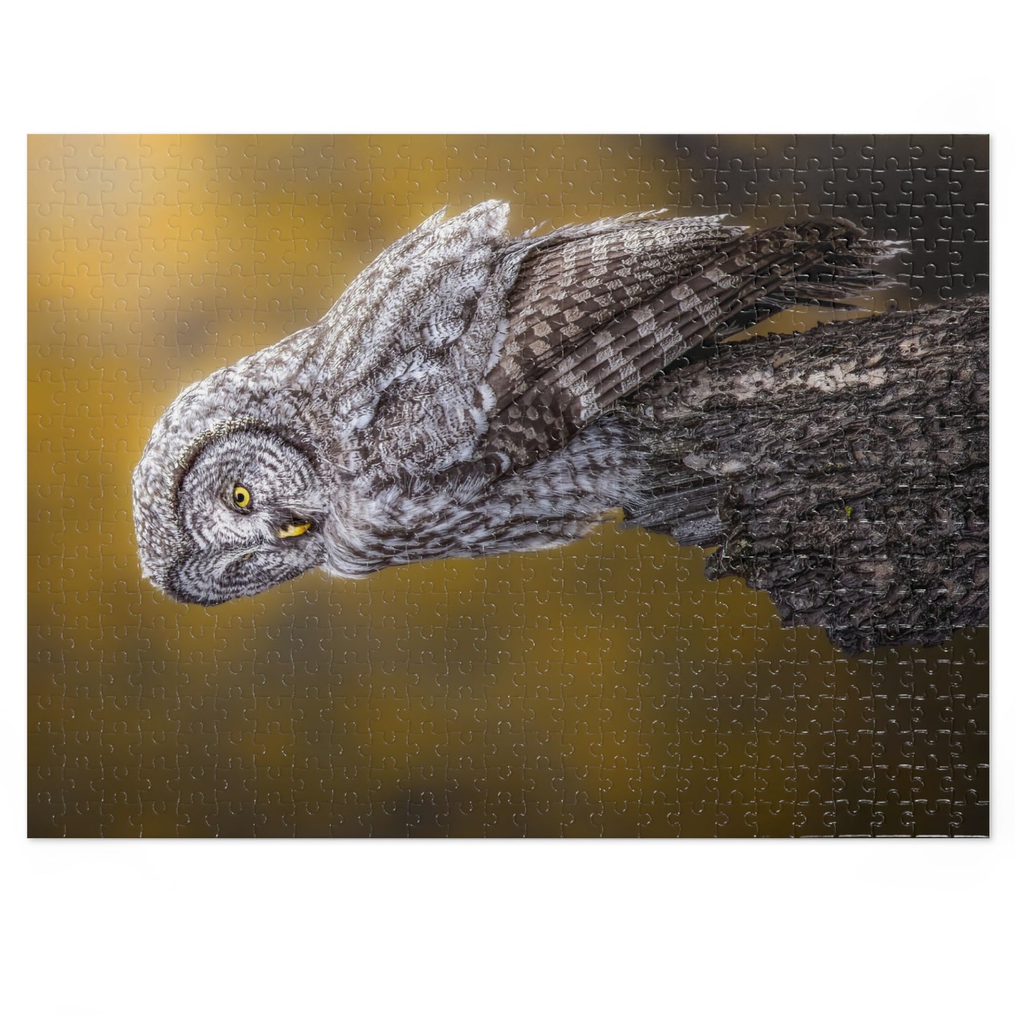 "THOUGHTFUL" GREAT GREY OWL - PUZZLE