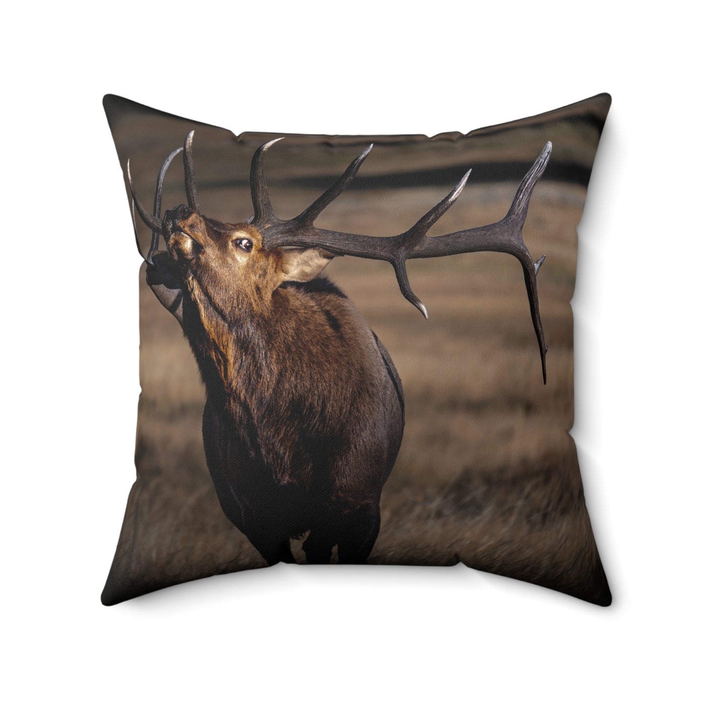 "SHOWING OFF FROM THE SHADOWS" Bull Elk Photo Pillow