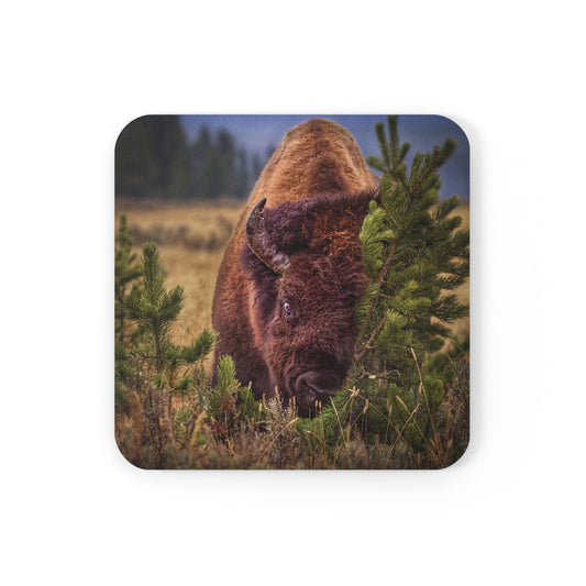 "RUBBIN" Bison Photo Coaster