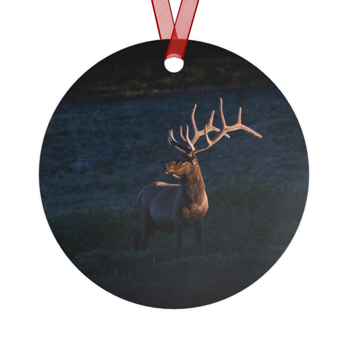 "LIGHT BEAM" Bull Elk - Metal Christmas Tree Ornament