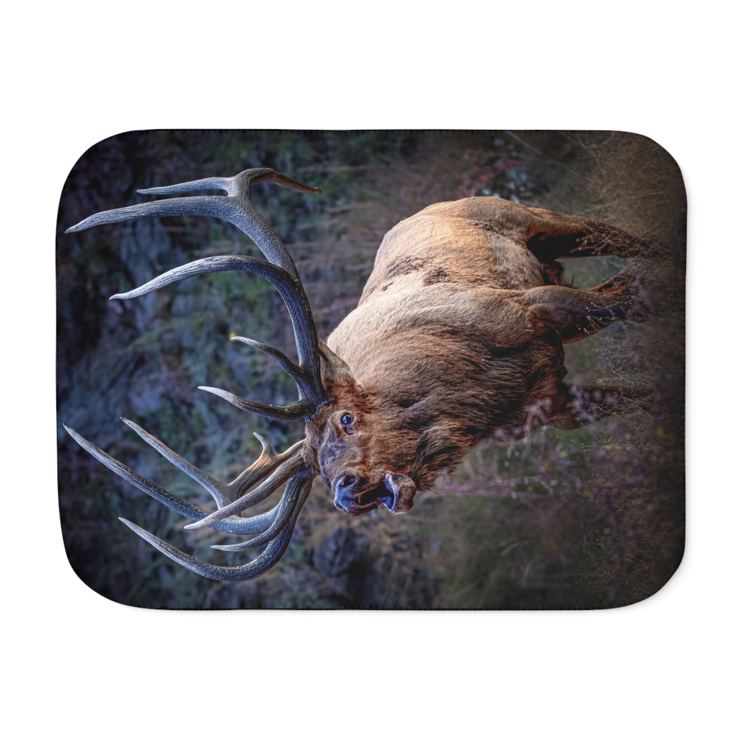 "LEGEND" BULL ELK - SHERPA BLANKET