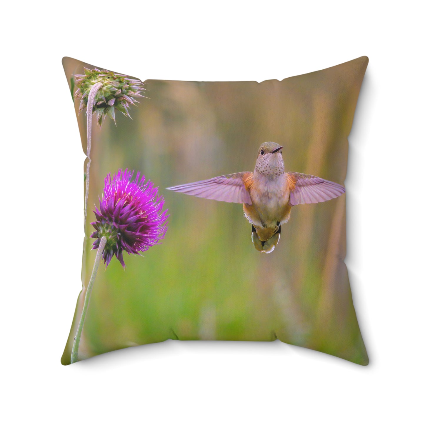 "THISTLE WINGS"  Hummingbird Photo Pillow