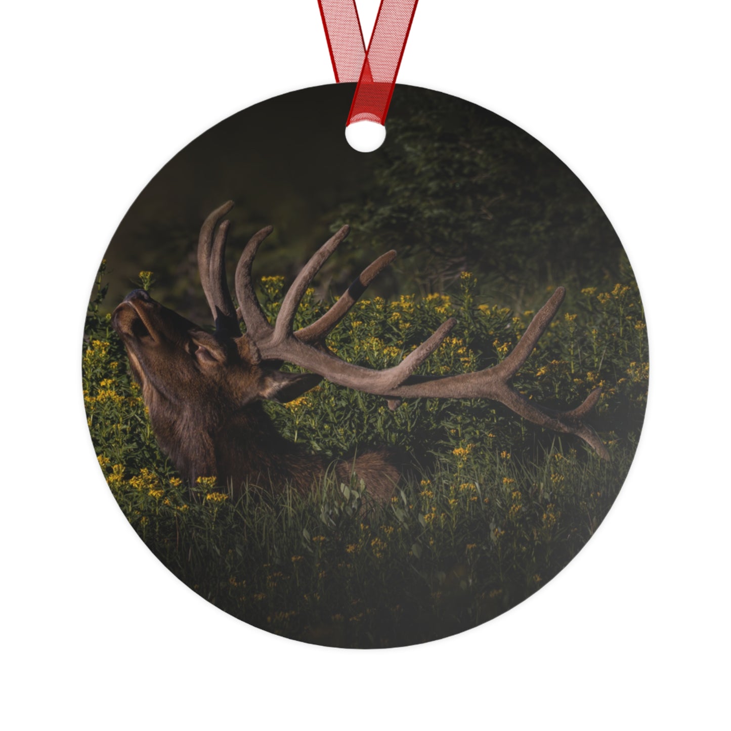 "WILDFLOWER SUNBATH" Bull Elk - Metal Christmas Tree Ornament