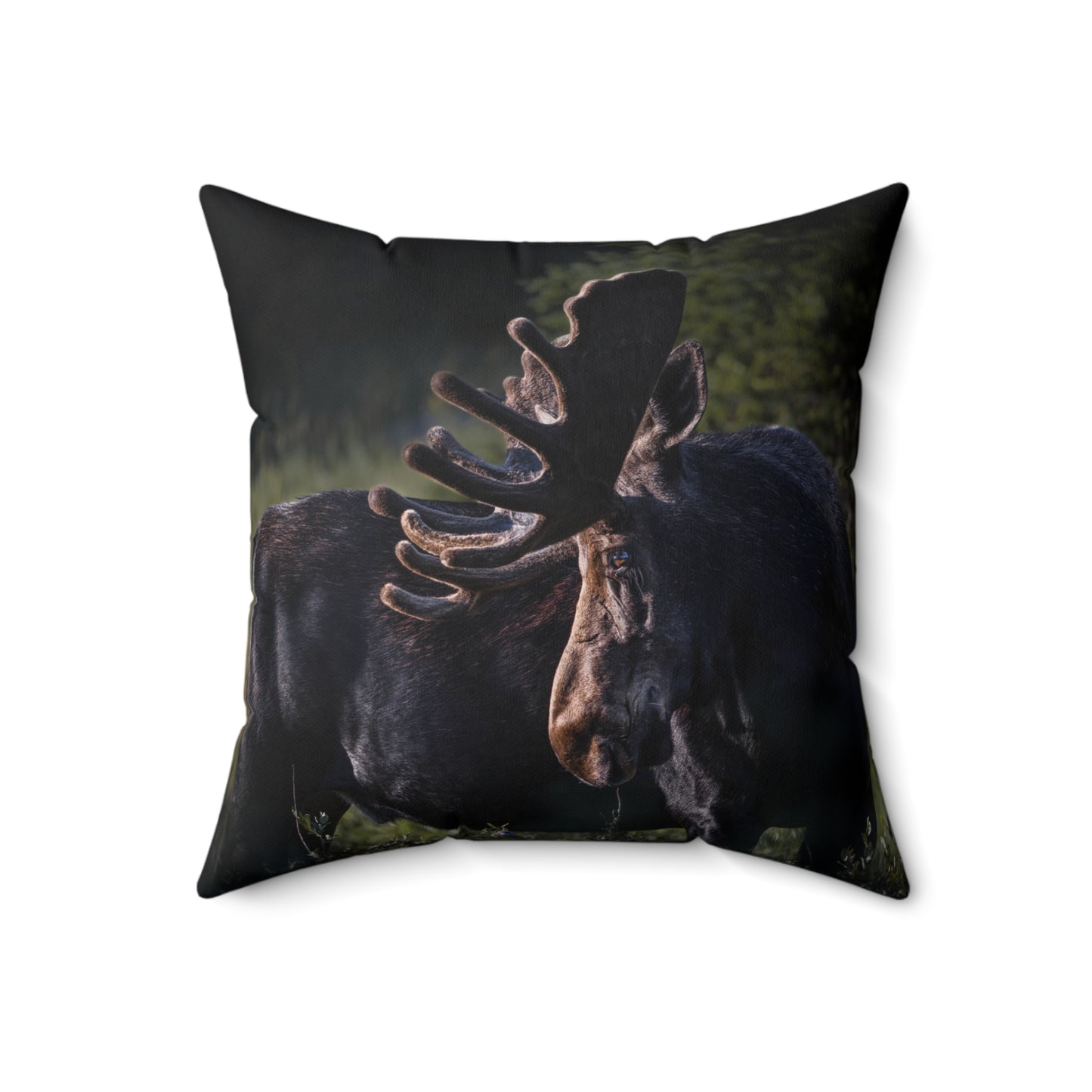 "VELVET HIGHLIGHTS" Bull Moose Photo Pillow