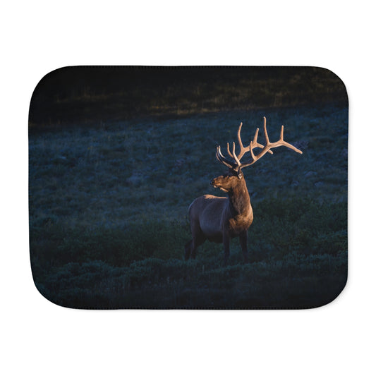 "LIGHT BEAM" BULL ELK - SHERPA BLANKET