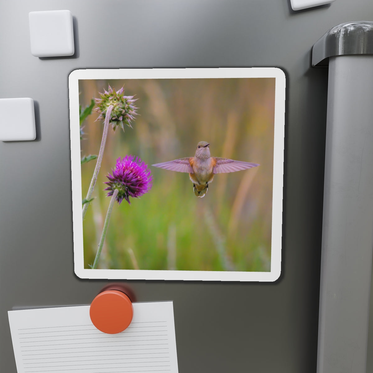 "THISTLE WINGS" Photo Magnet