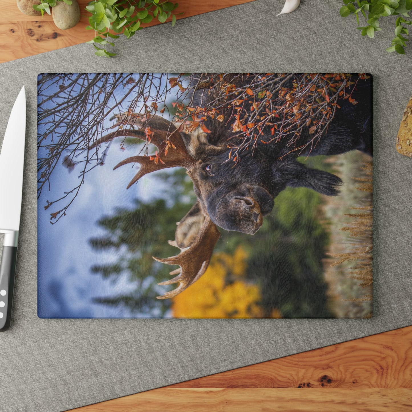 PEEK A MOOSE Glass Cutting Board