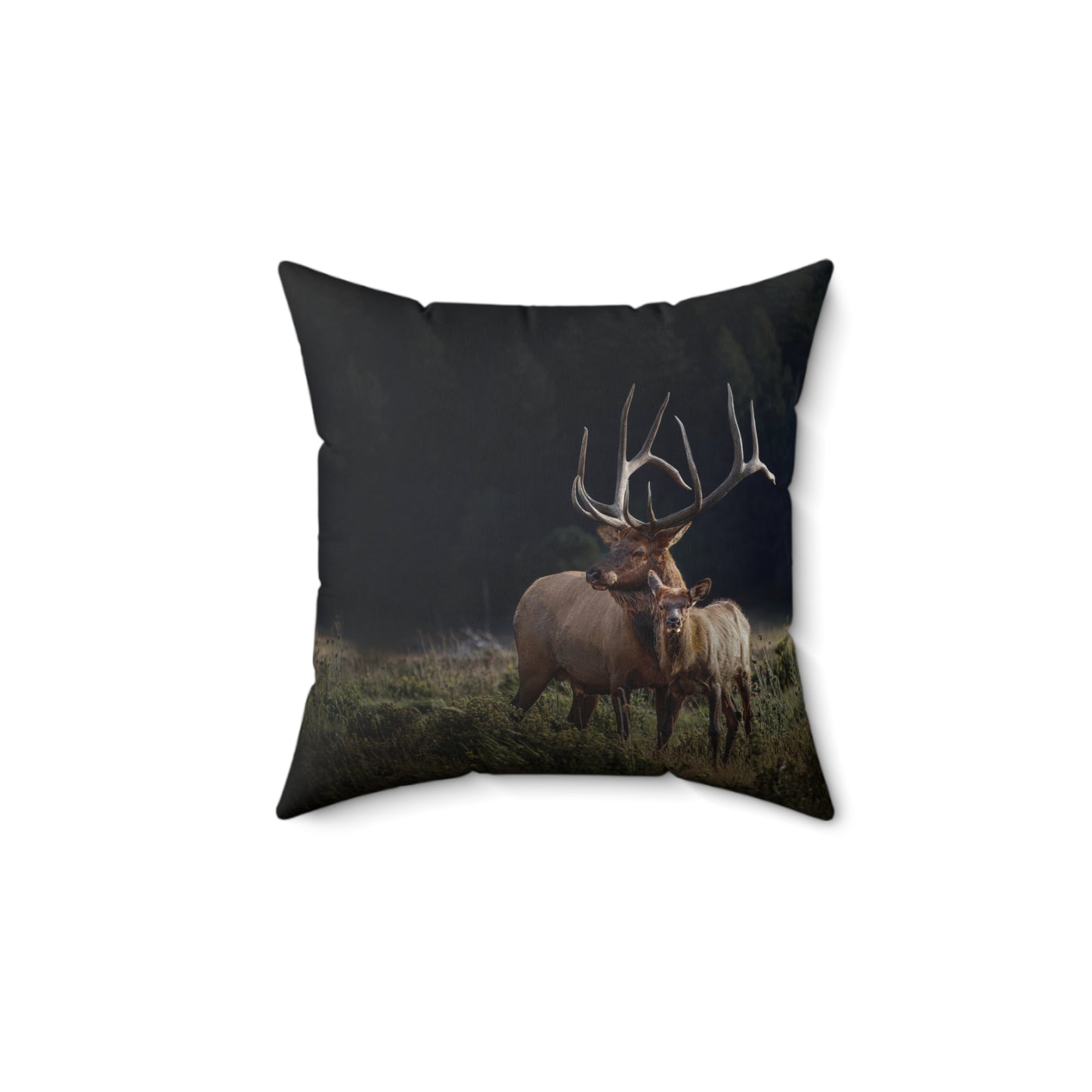 "GENERATIONS" Bulle Elk Photo Pillow