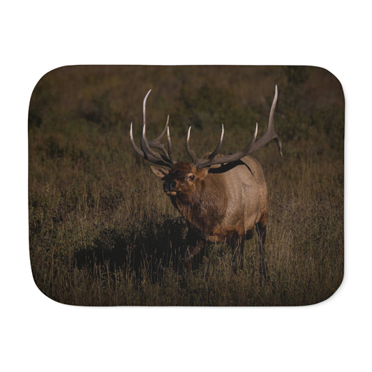 "LAID BACK" BULL ELK - SHERPA BLANKET