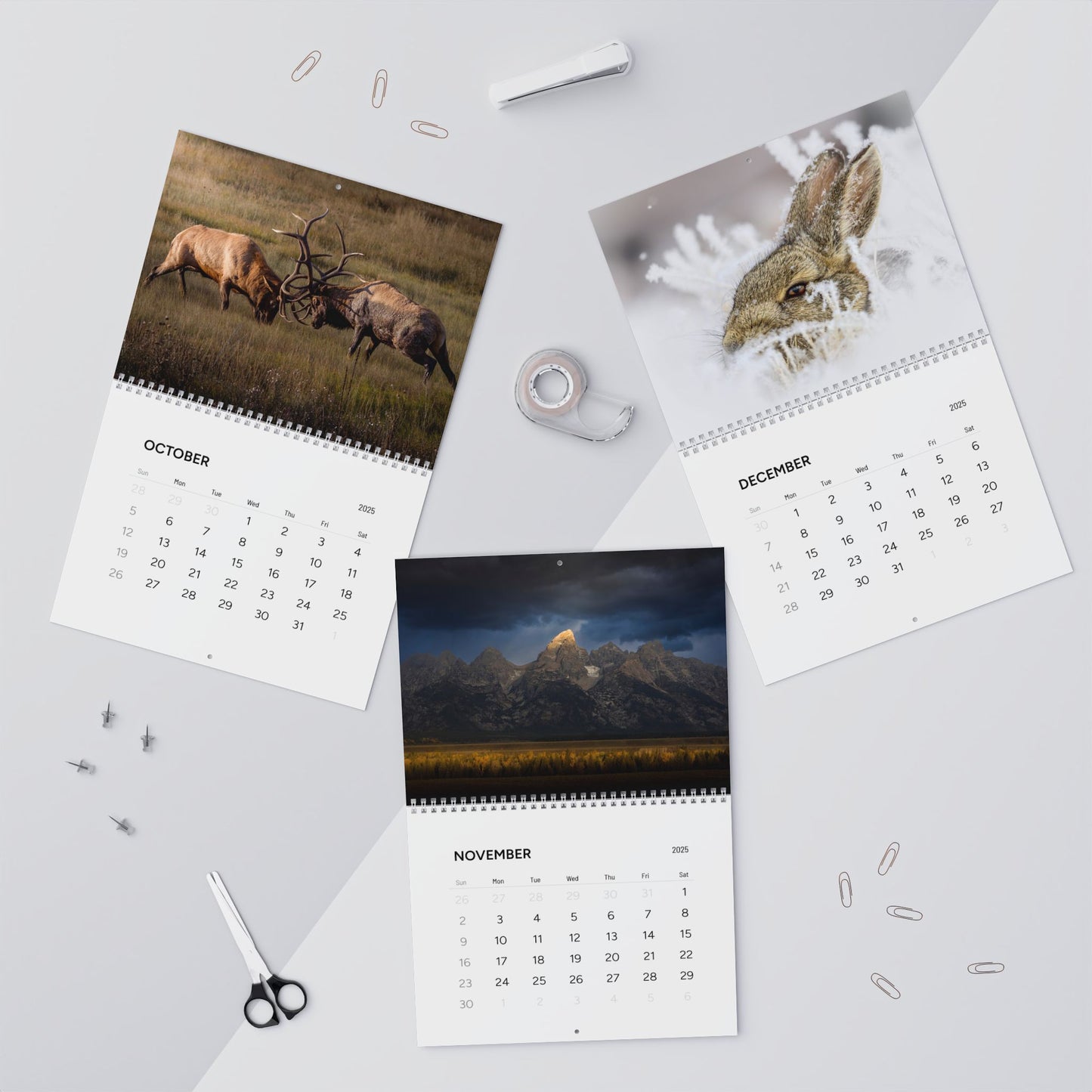 IN SEARCH OF WILD NATURE & WILDLIFE 2025 Wall Calendars