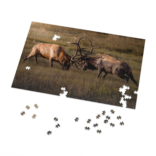 "LOCKED IN LIGHT" BULL ELK - PUZZLE