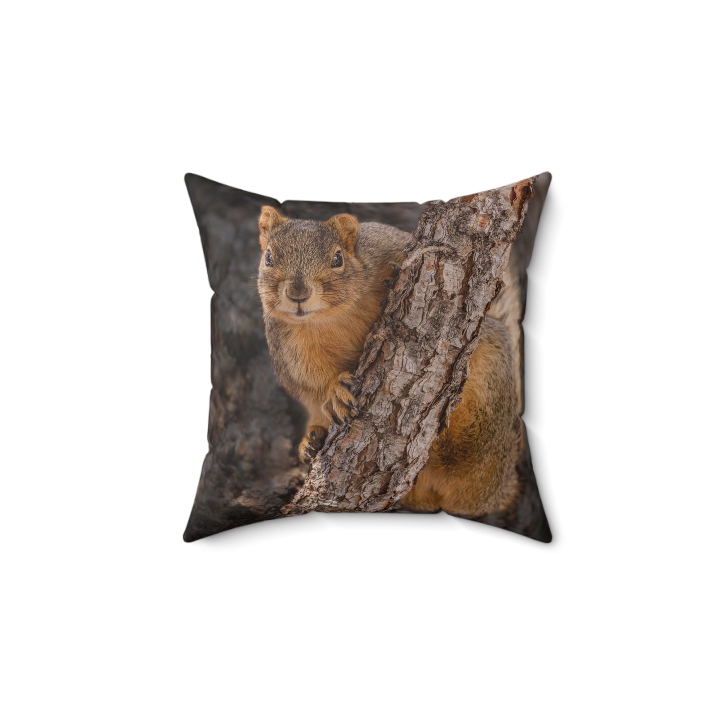 "CUTE ATTITUDE" Squirrel Photo Pillow