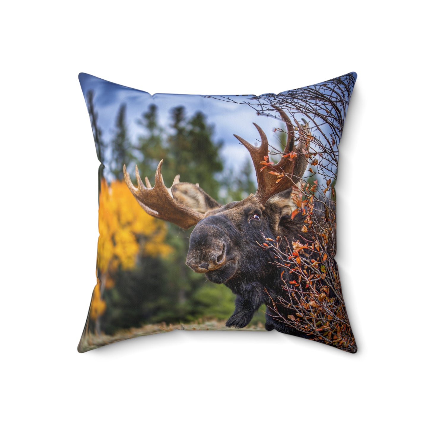 "PEEK A MOOSE" Bull Moose Photo Pillow