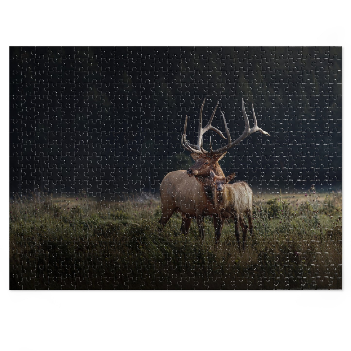 "GENERATIONS" BULL ELK - PUZZLE