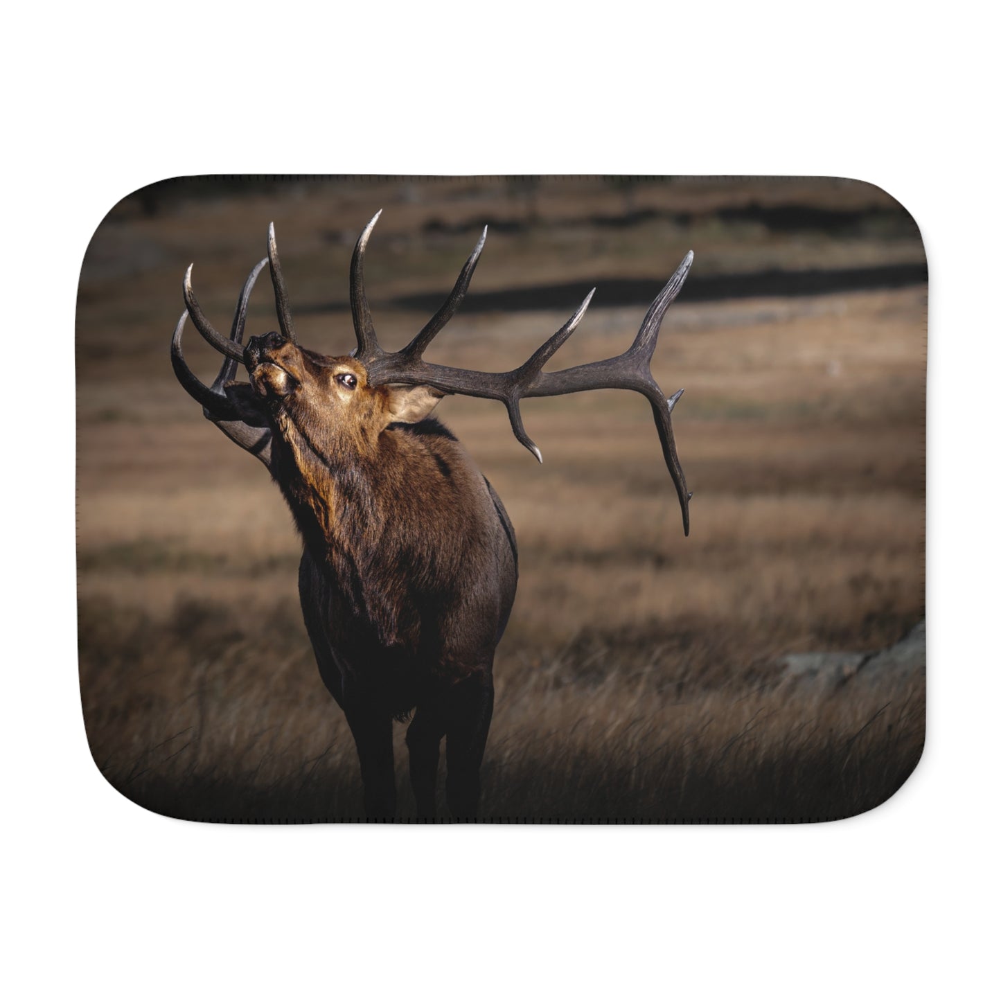 "WILD SIDE" BULL ELK - SHERPA BLANKET