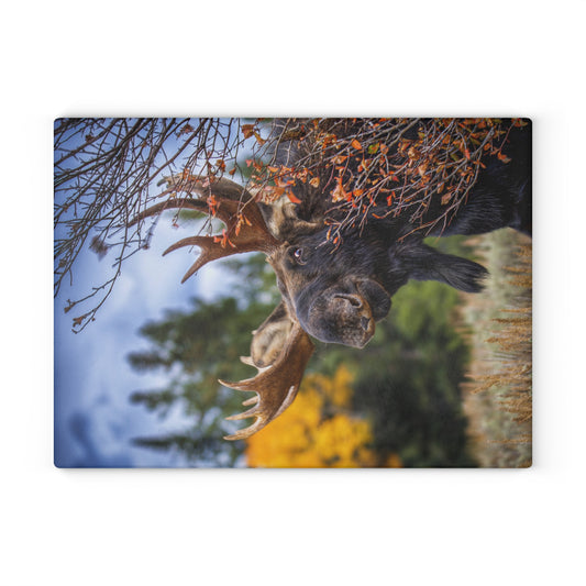 PEEK A MOOSE Glass Cutting Board