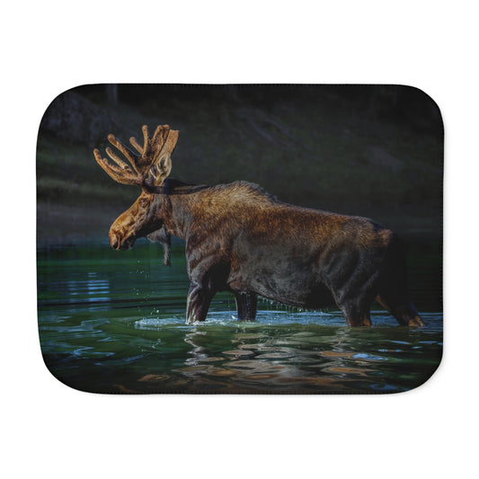 "SPOTLIGHT" BULL MOOSE - SHERPA BLANKET