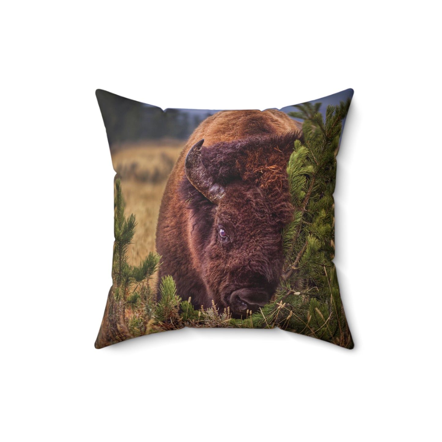 "RUBBIN" Bison Photo Pillow