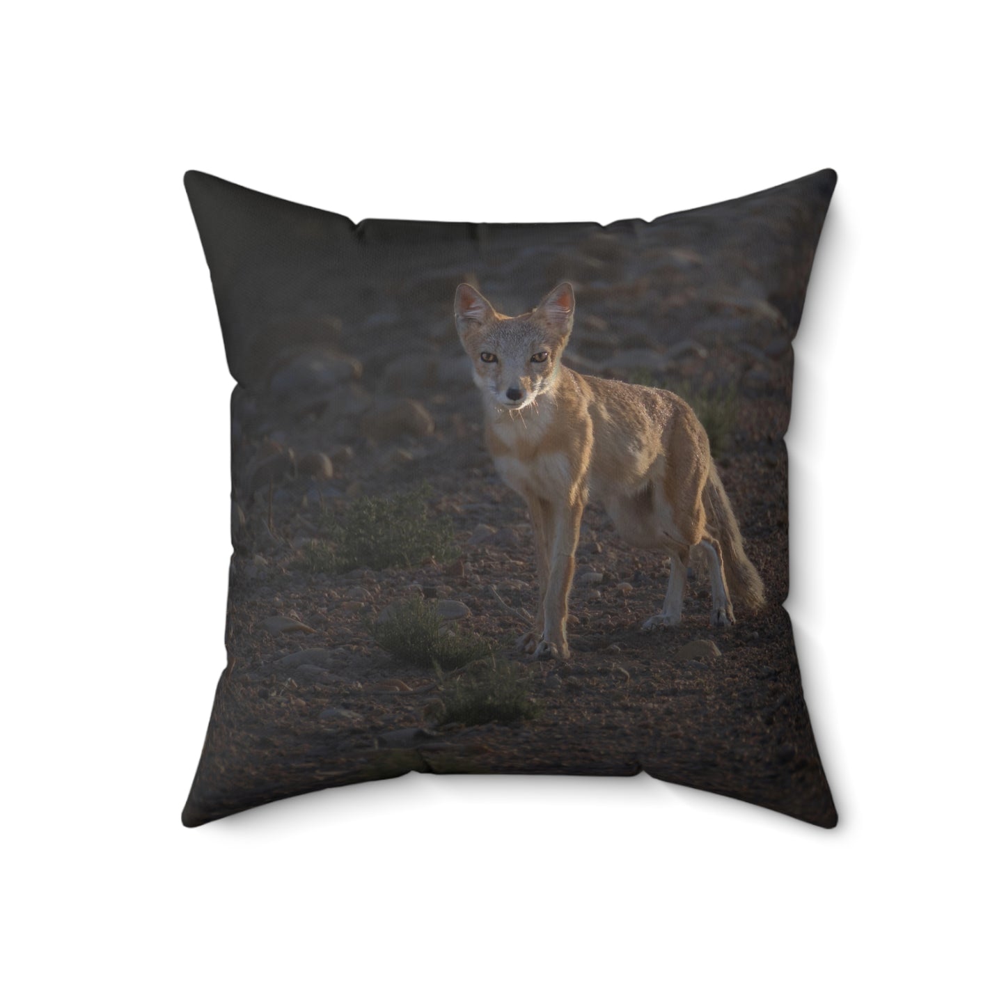 "AGLOW" Swift Fox Photo Pillow