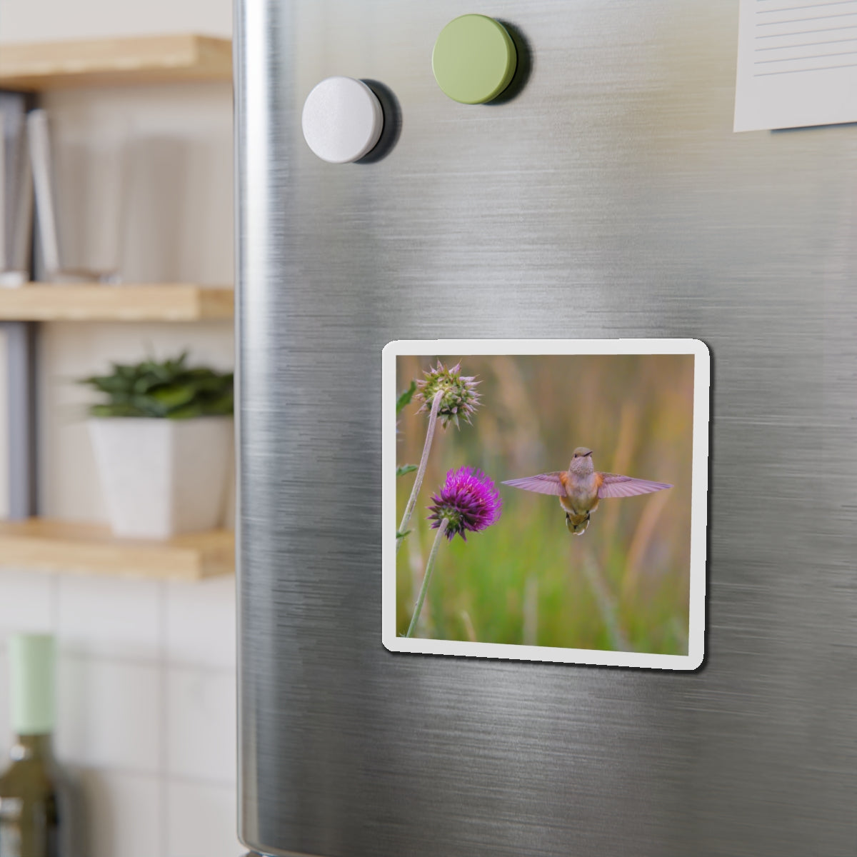 "THISTLE WINGS" Photo Magnet