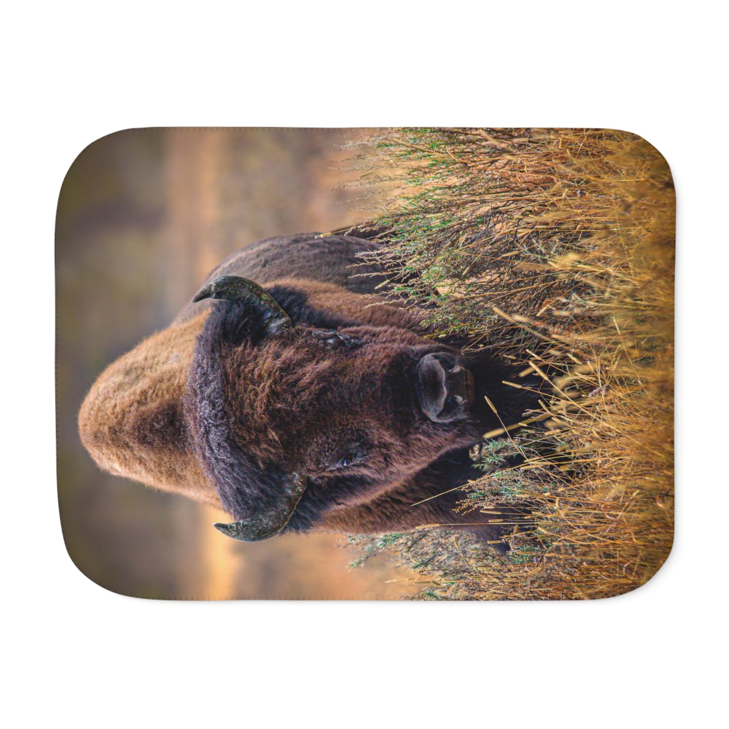 "MISTY MORNIN" BISON - SHERPA BLANKET