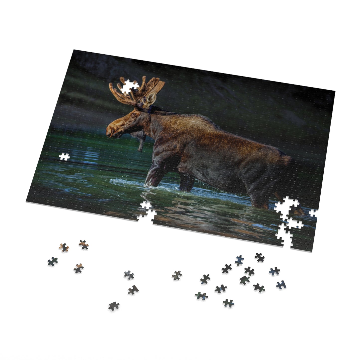 "SPOTLIGHT" BULL MOOSE - PUZZLE