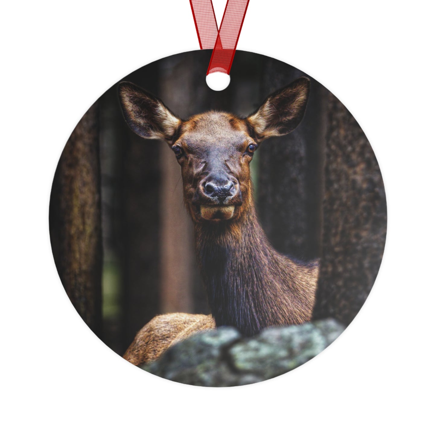 "Lady of the Woods" Cow Elk - Metal Christmas Tree Ornament