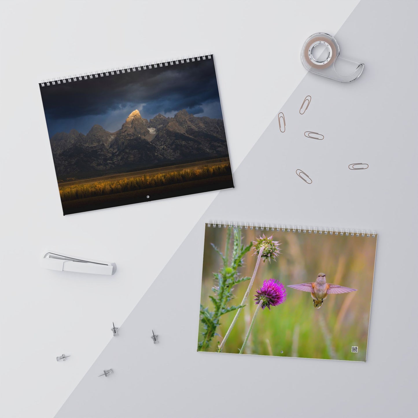 IN SEARCH OF WILD NATURE & WILDLIFE 2025 Wall Calendars