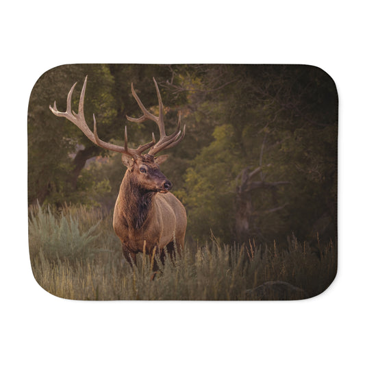 "BRANCHED" BULL ELK - SHERPA BLANKET