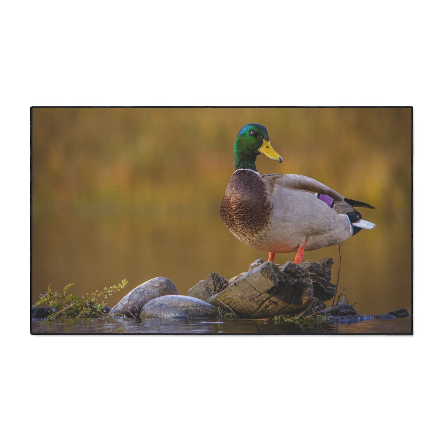 "SNAKE RIVER DRAKE" Heavy Duty Indoor Outdoor Floor Mat Photo Rug