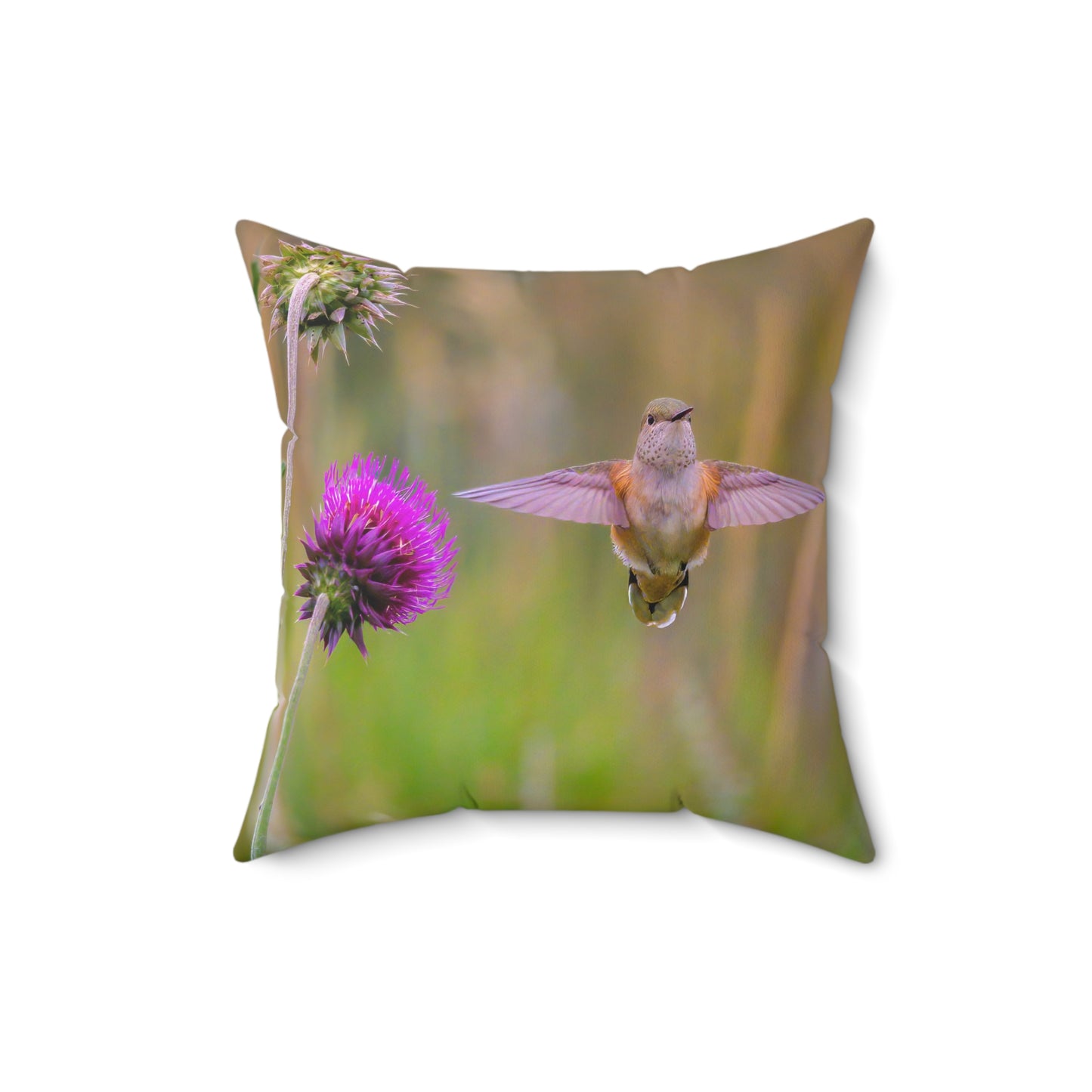 "THISTLE WINGS"  Hummingbird Photo Pillow