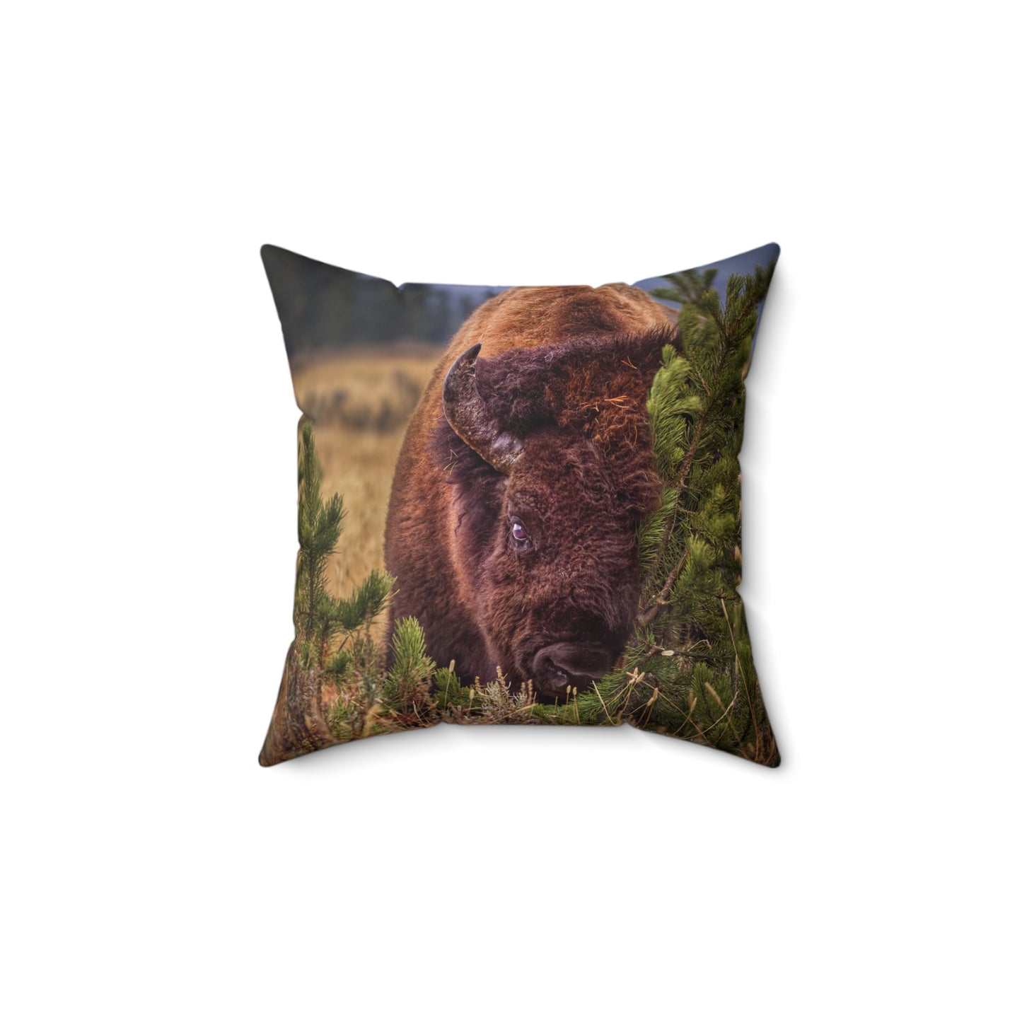 "RUBBIN" Bison Photo Pillow